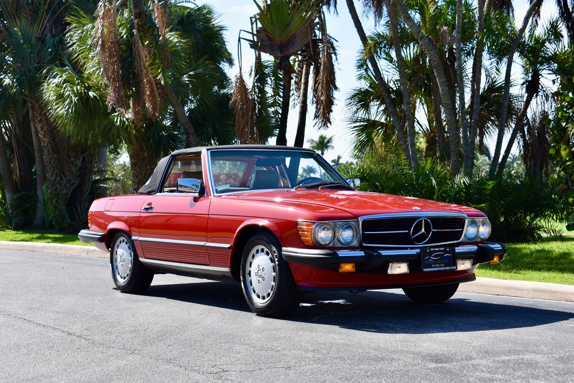 Gallery photo 5