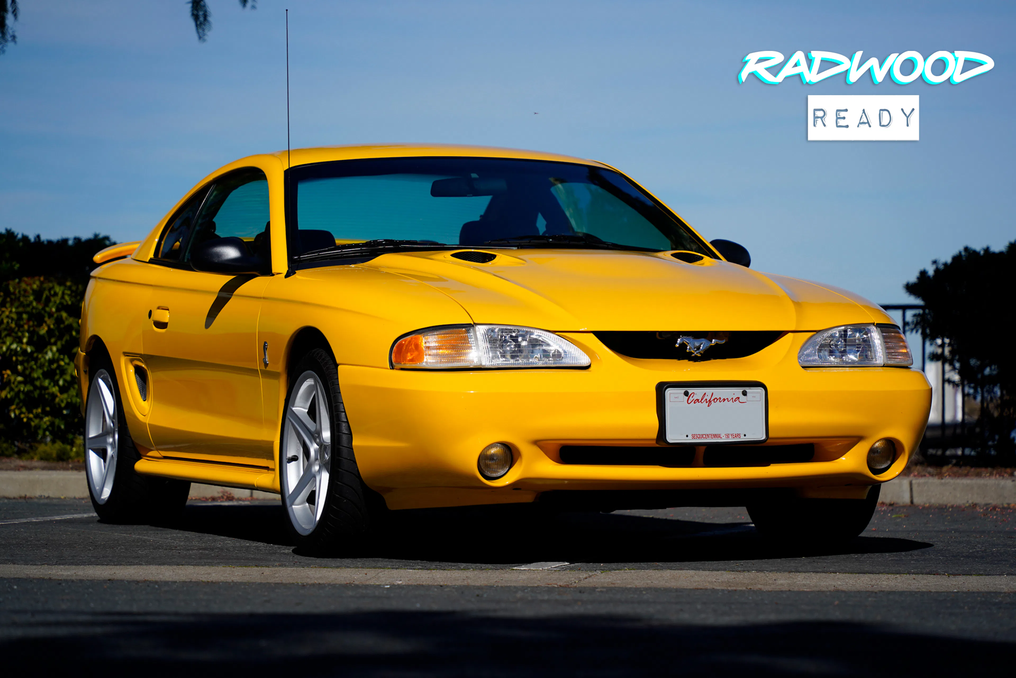 1998 Ford Mustang SVT Cobra