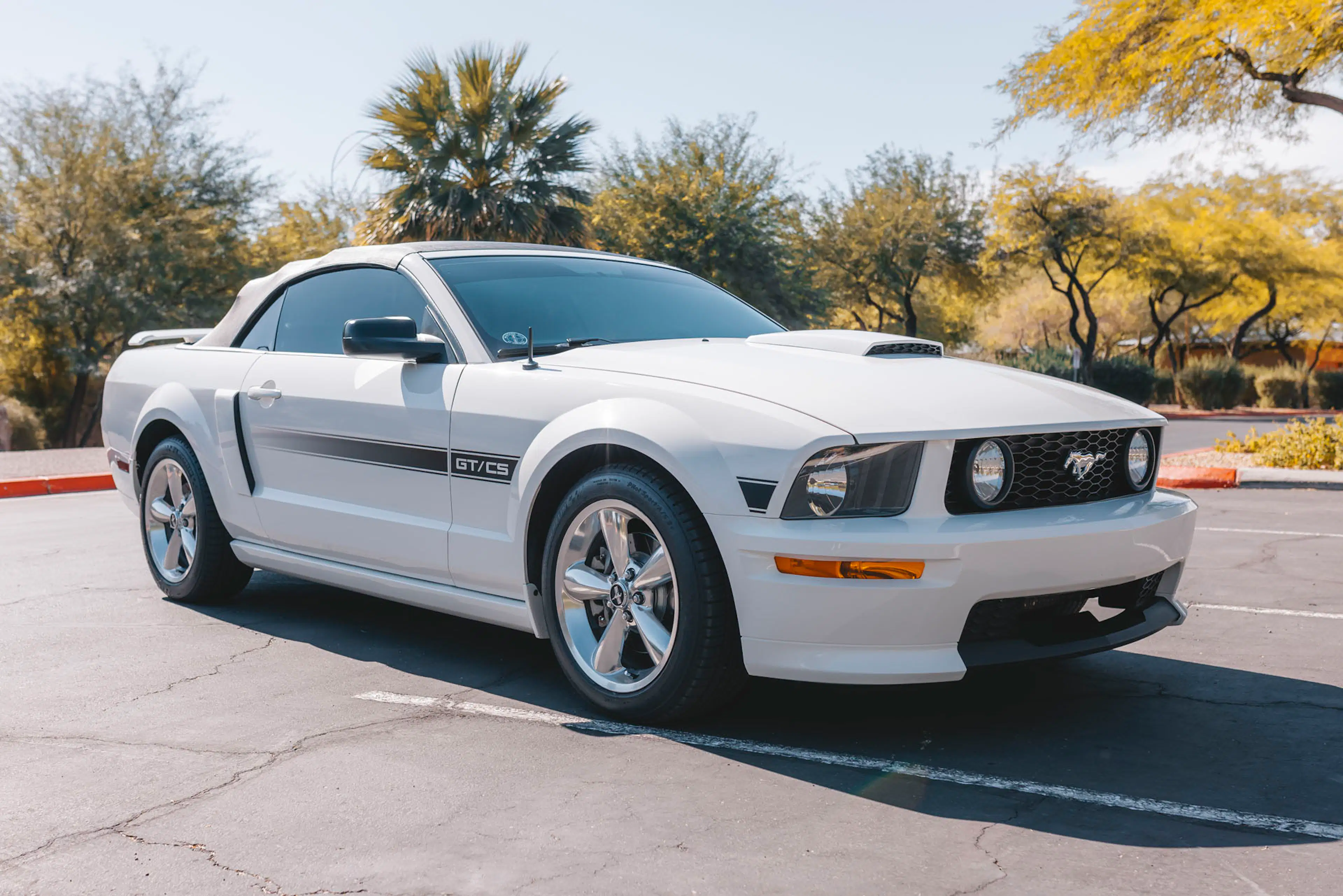 Gallery photo 2