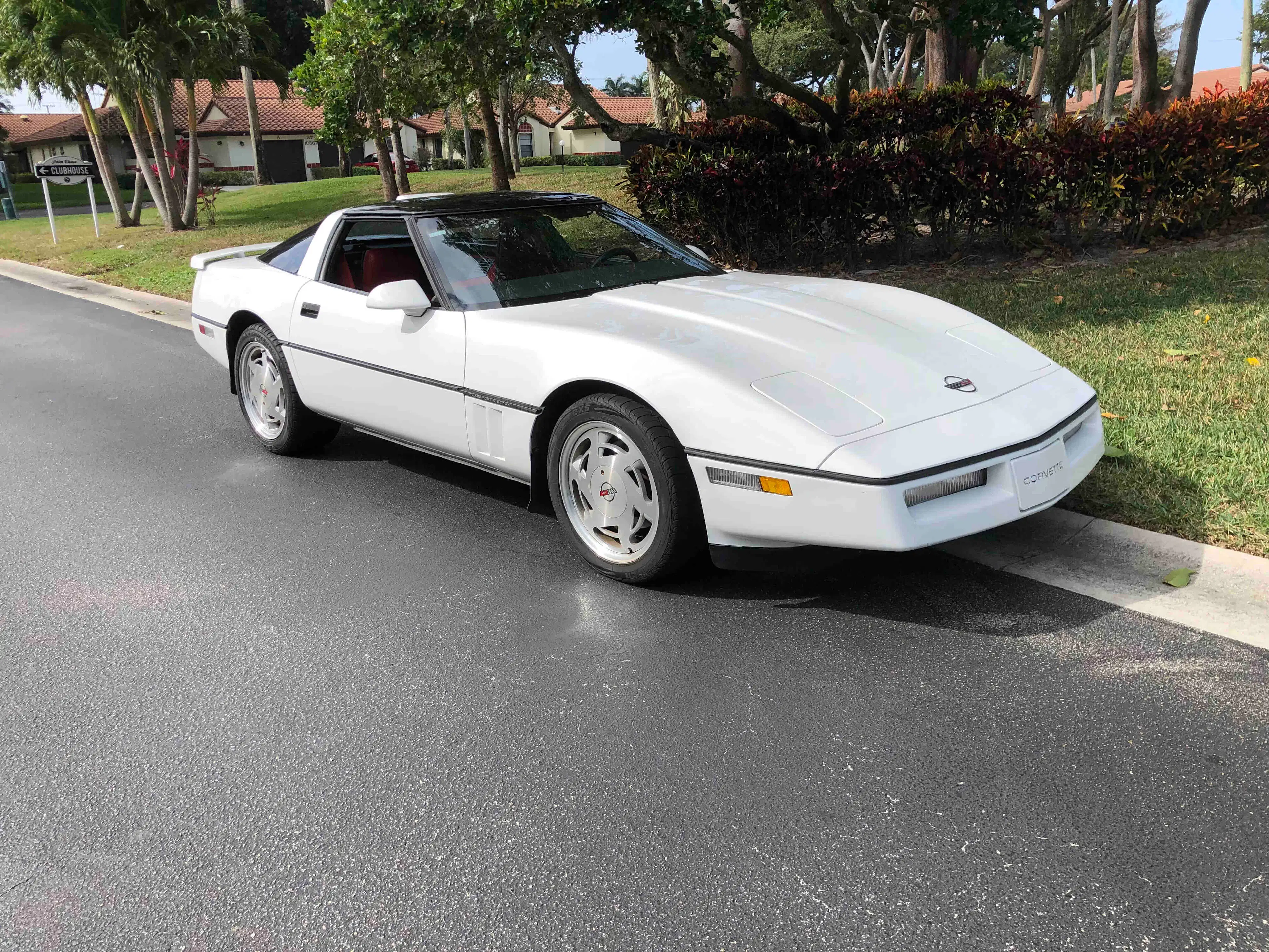Gallery photo 3