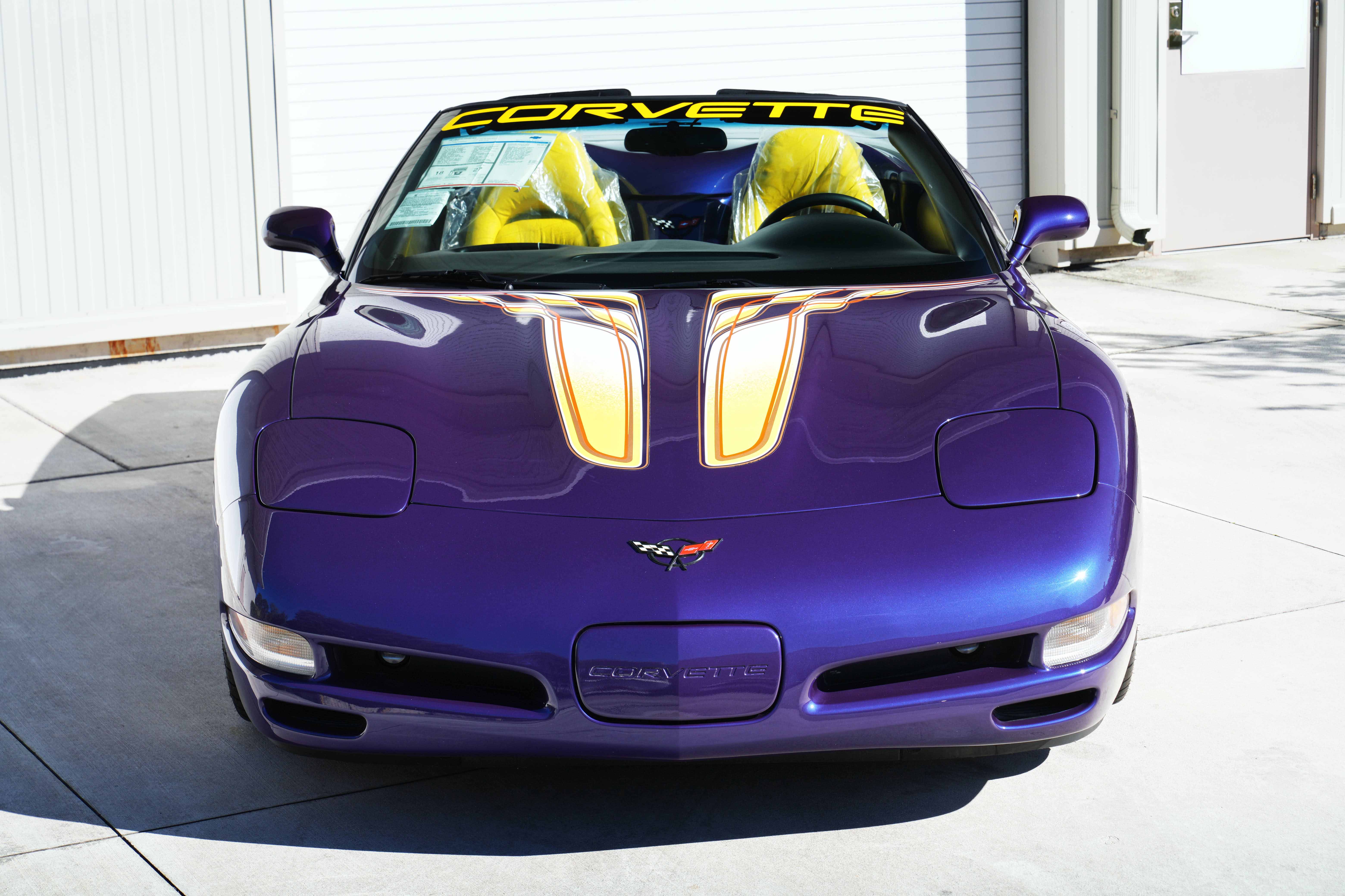 Gallery photo 3