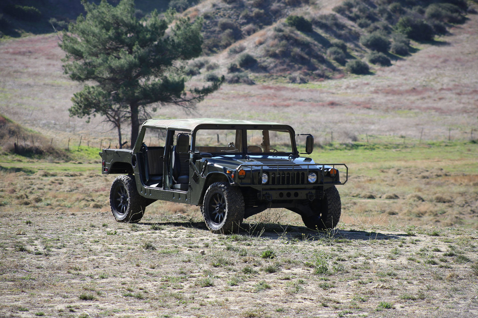 Gallery photo 2