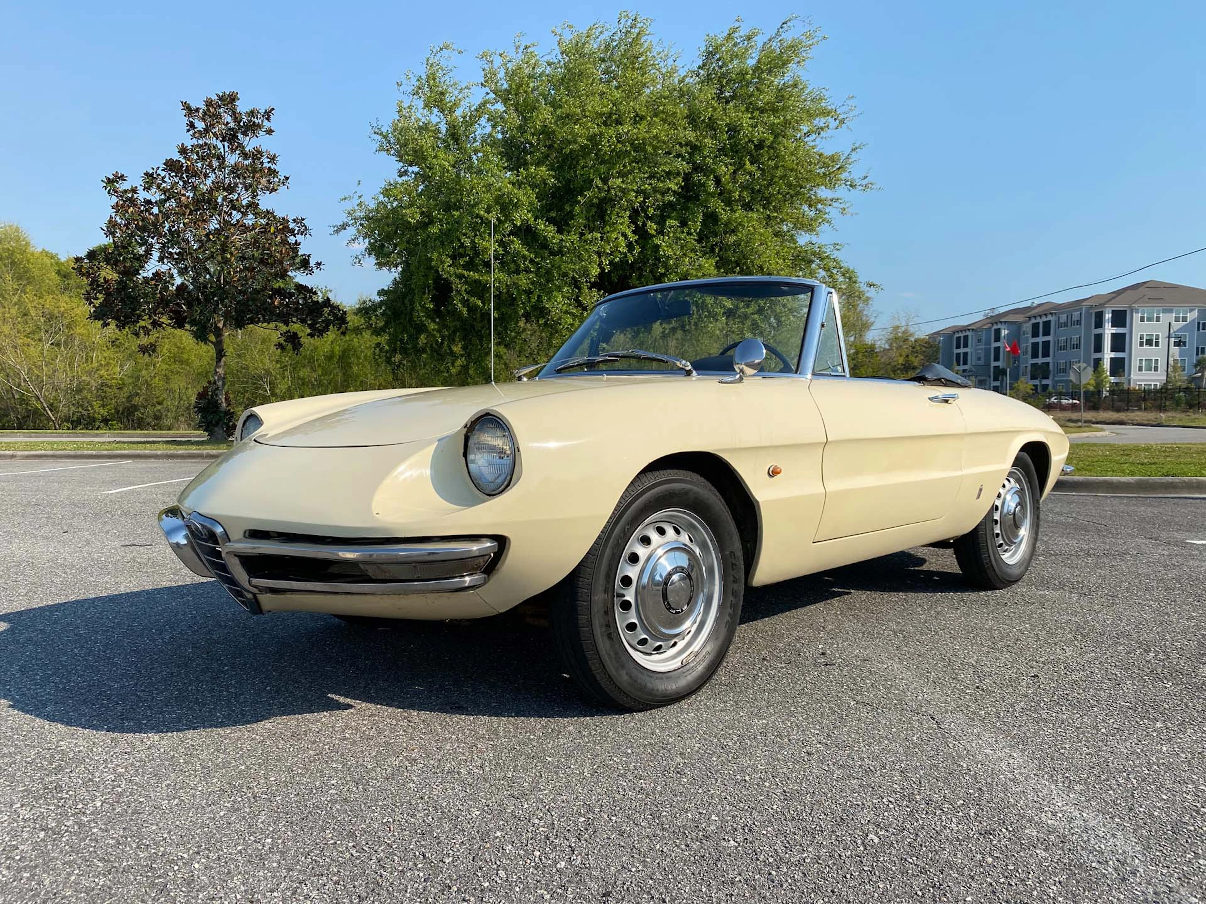 1967 Alfa Romeo Giulia Duetto Spider