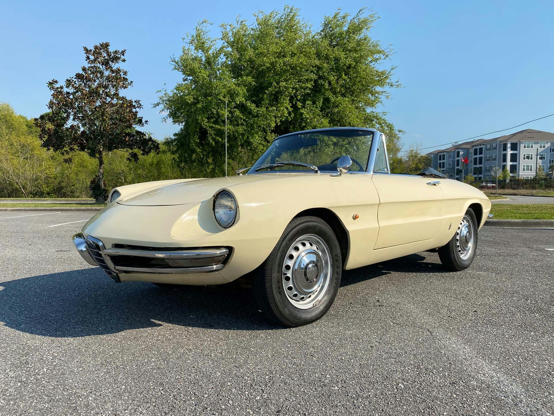 1967 Alfa Romeo Giulia Duetto Spider Auction