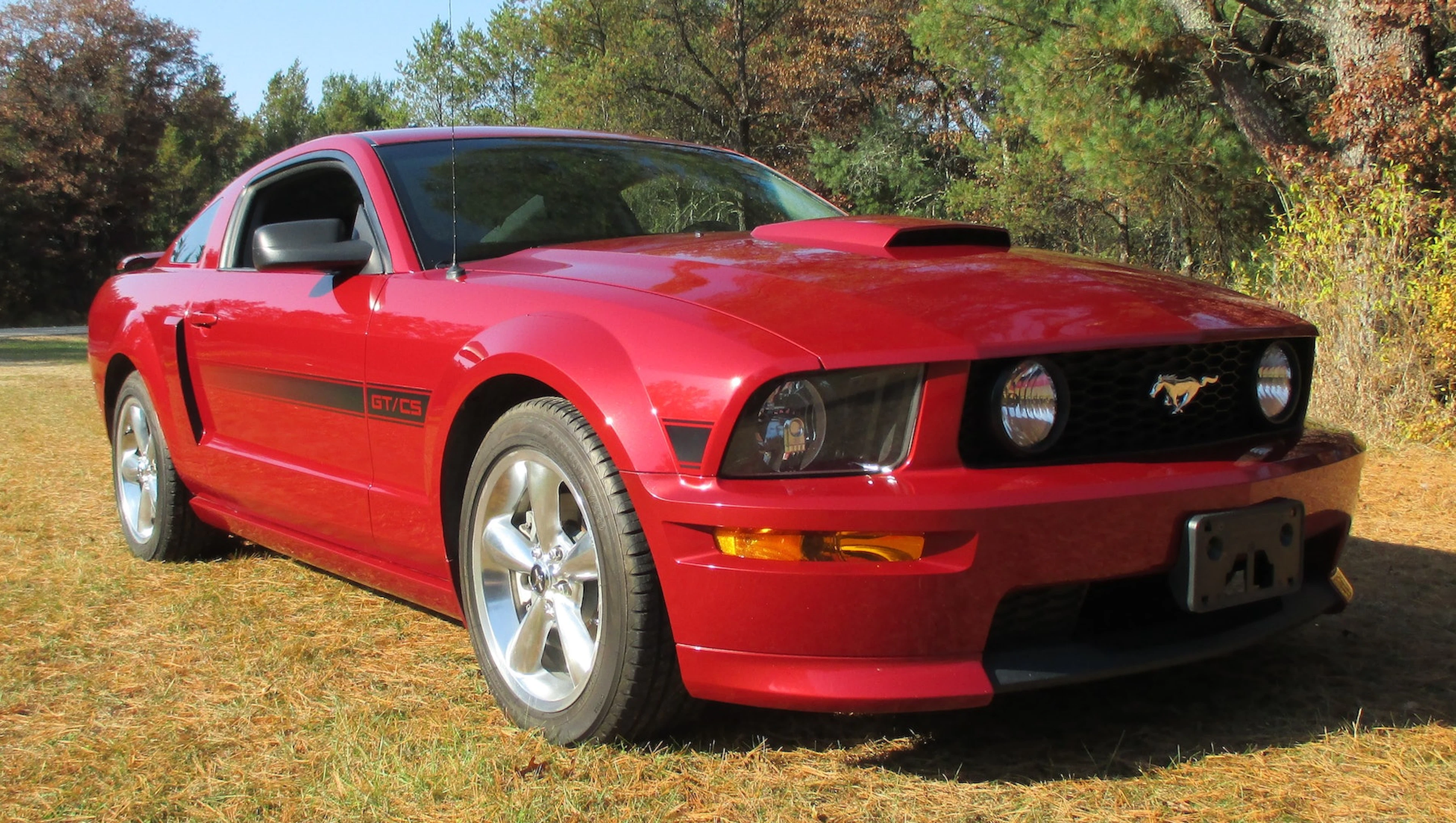 2008 Ford Mustang CS/GT