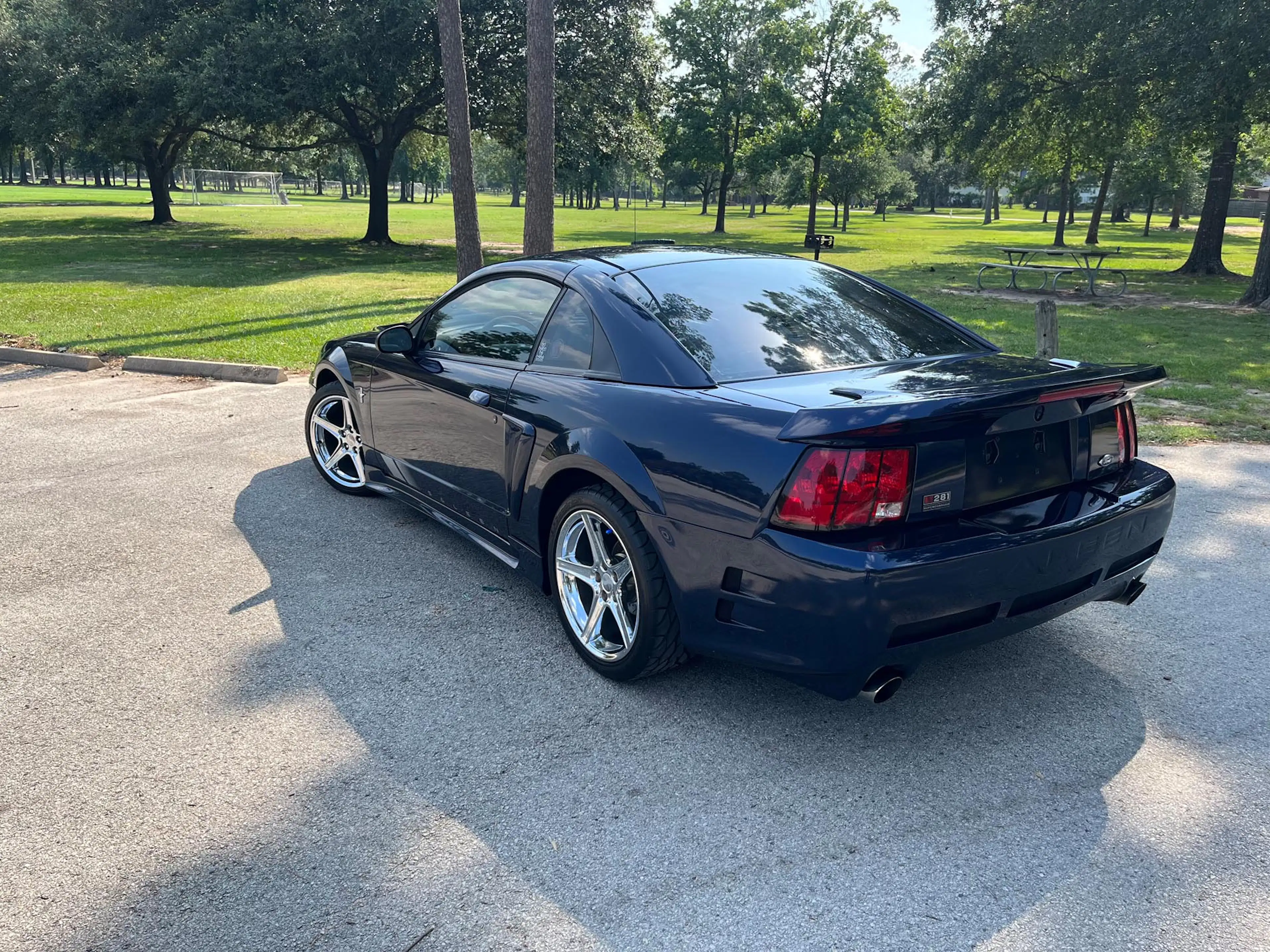 Gallery photo 6