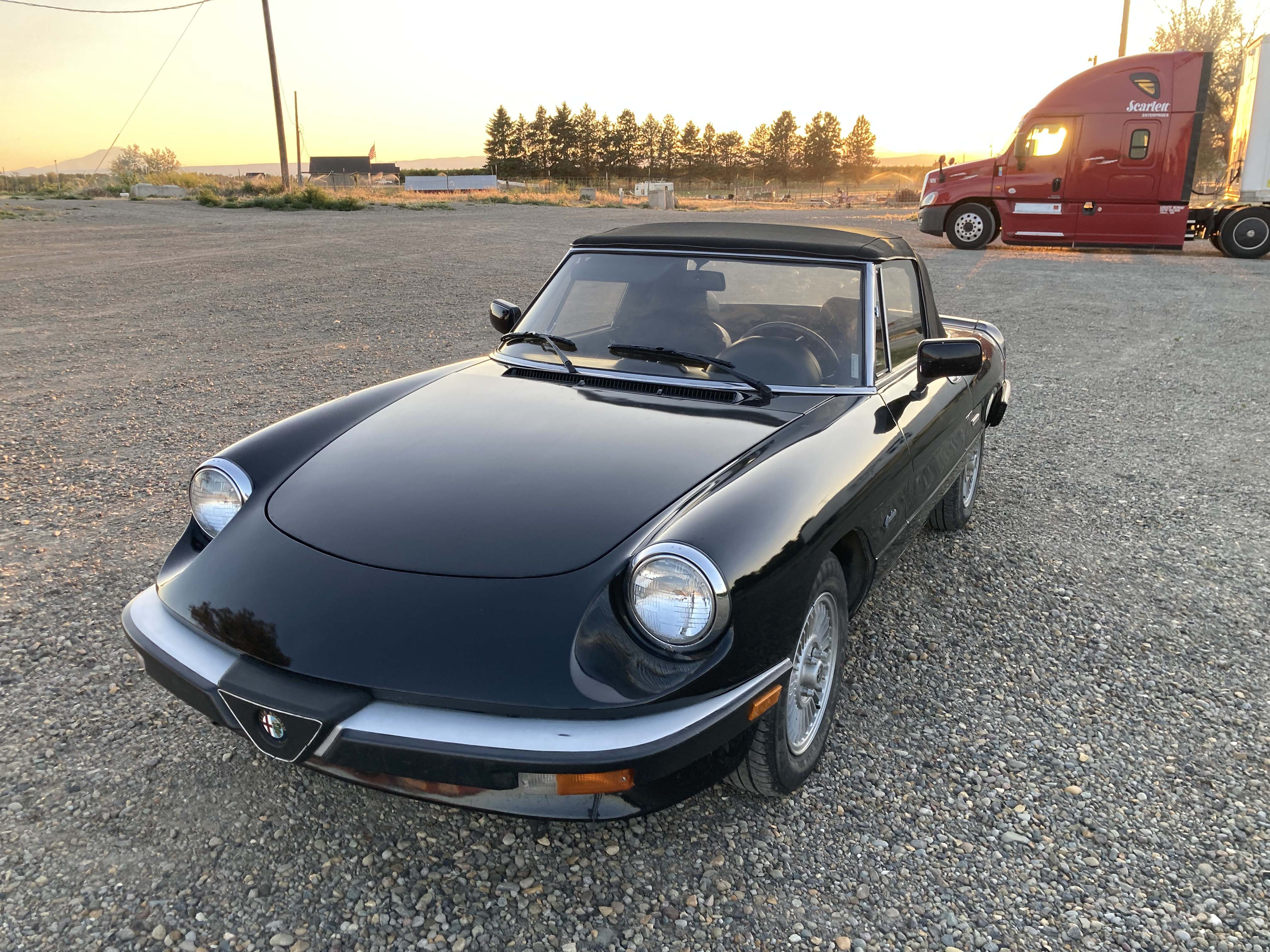 1988 Alfa Romeo Spider Graduate