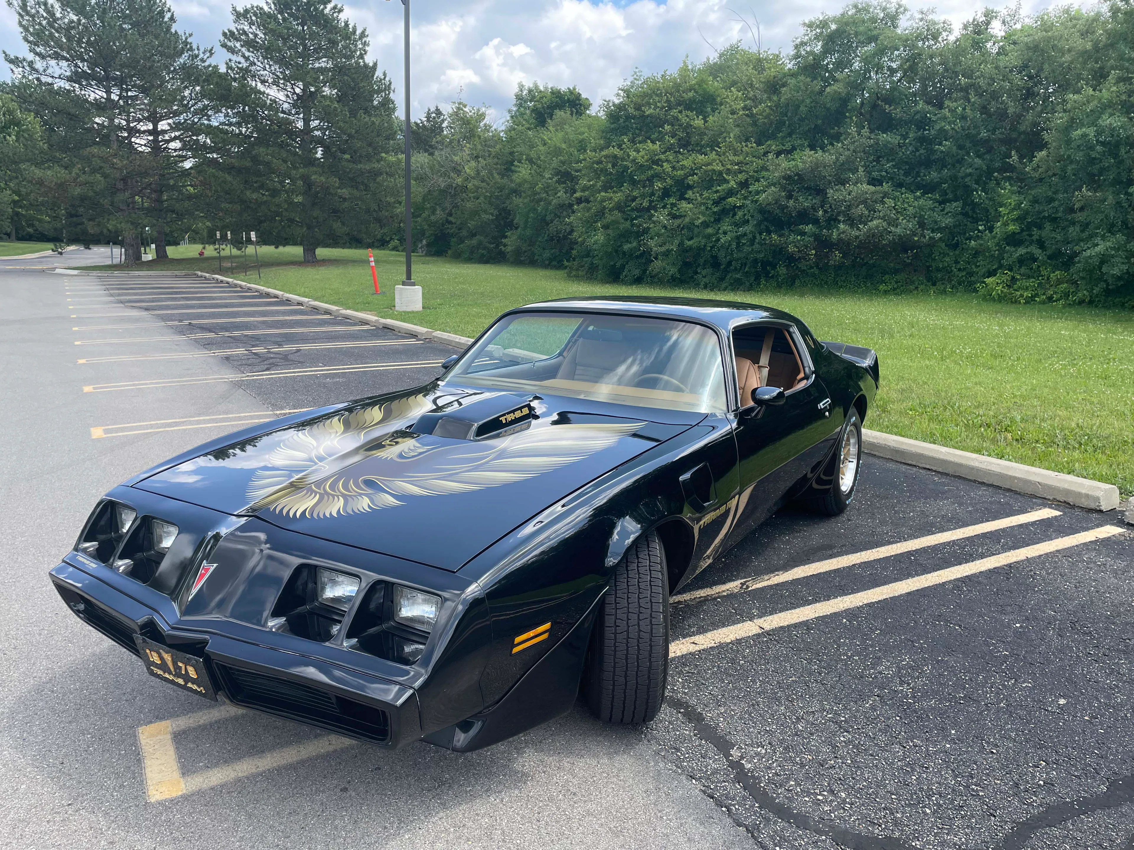 1979 Pontiac Firebird Trans Am