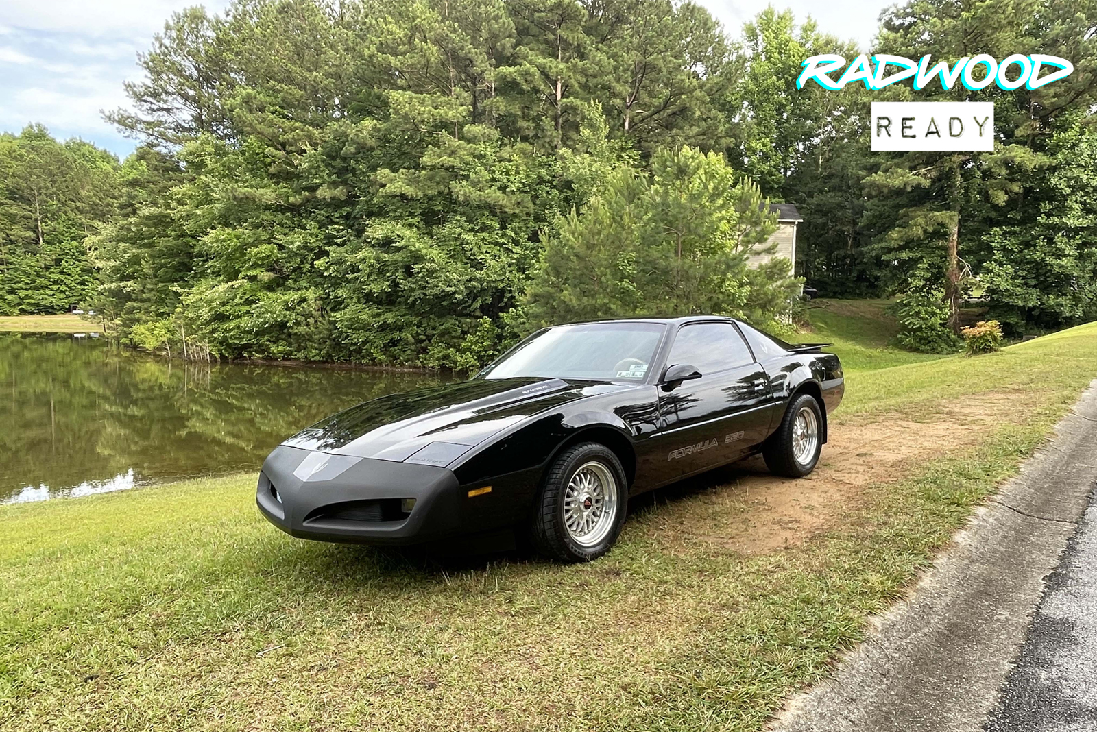 1991 Pontiac Firebird Formula