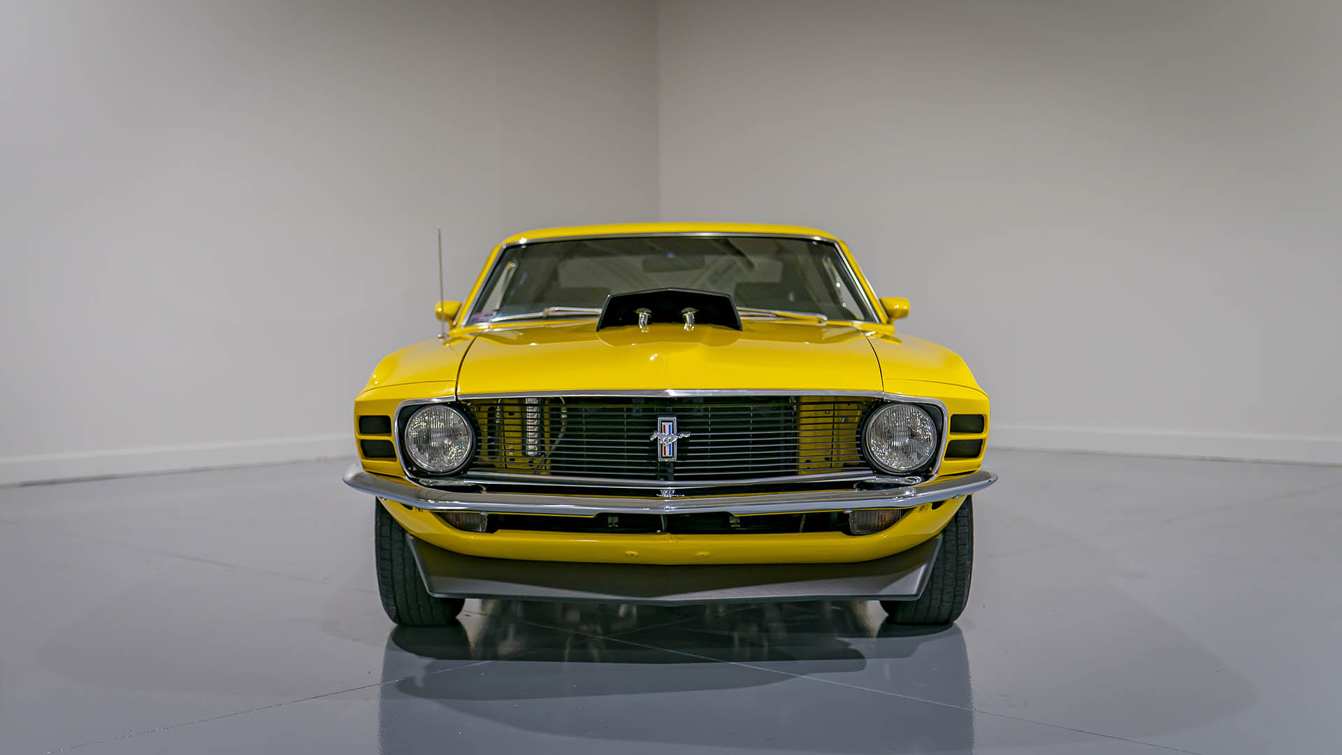 Gallery photo 4