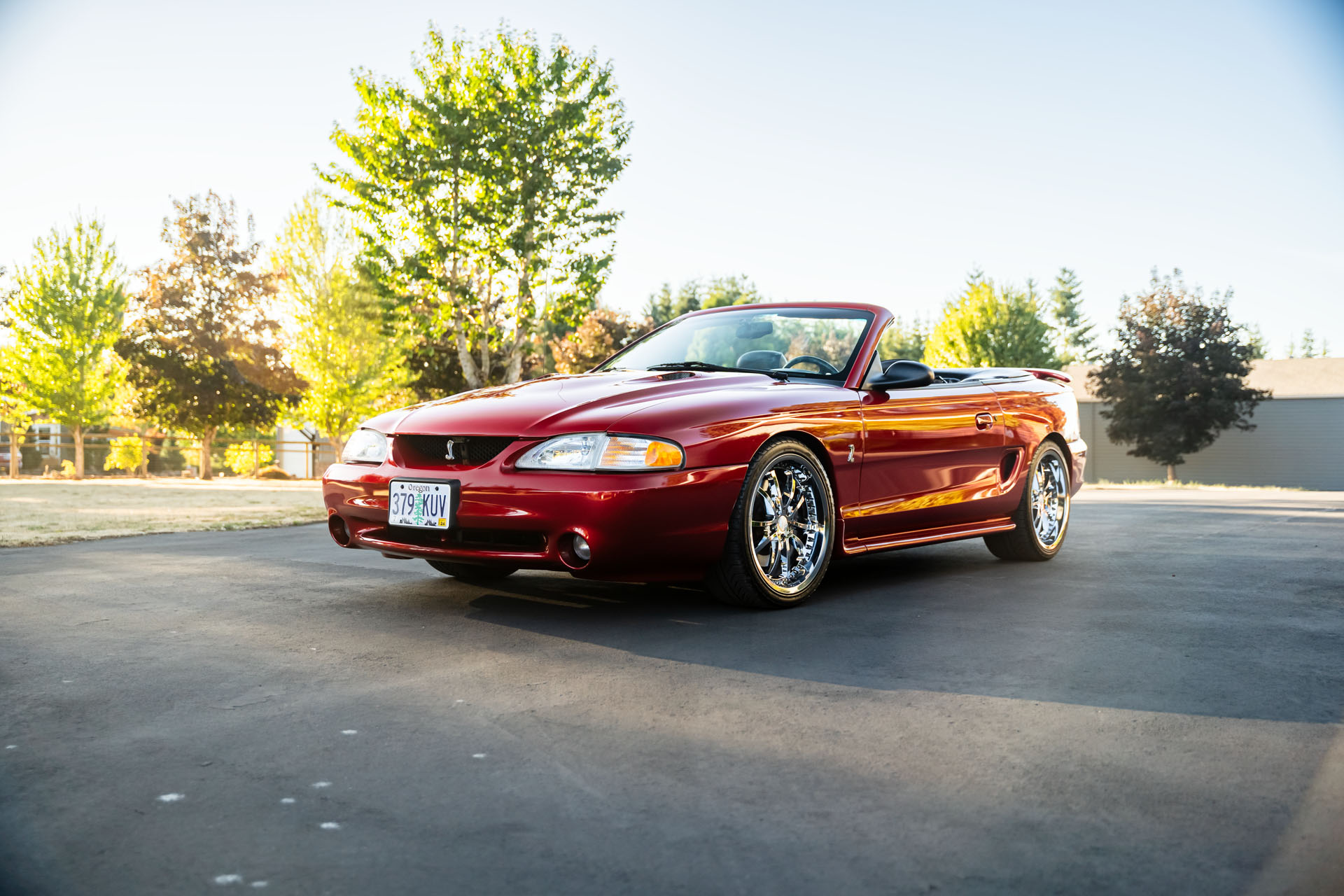 25k-Mile 1996 Ford Mustang SVT Cobra Convertible