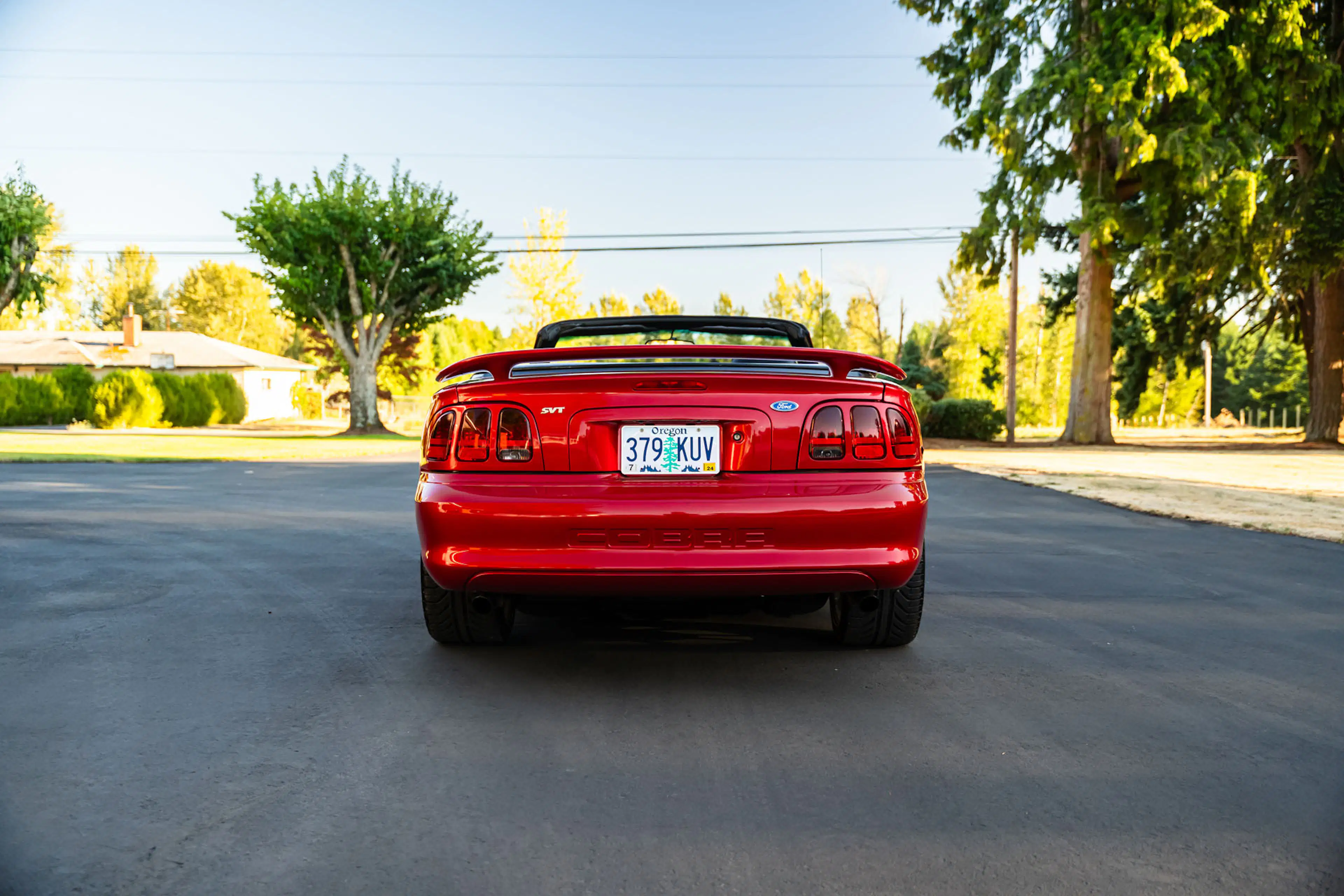 Gallery photo 4