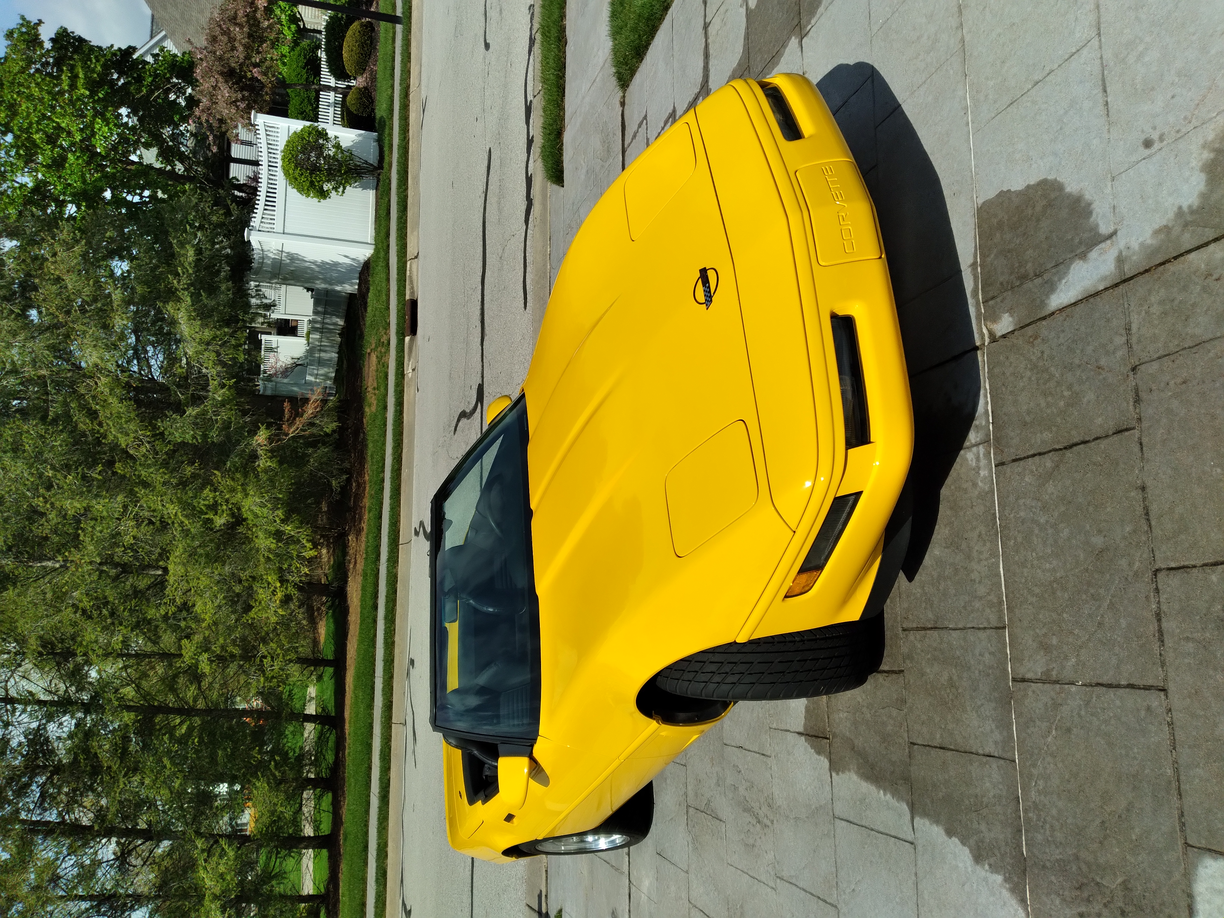 Gallery photo 6