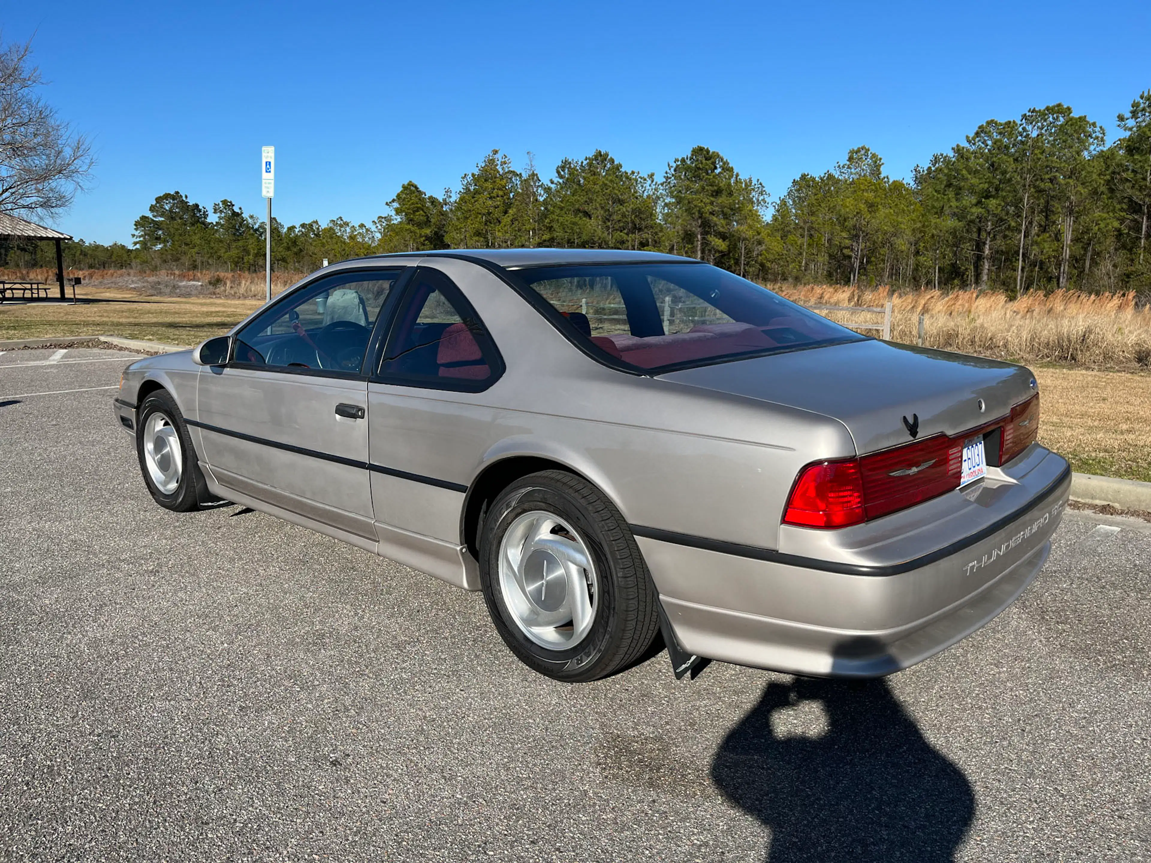Gallery photo 4