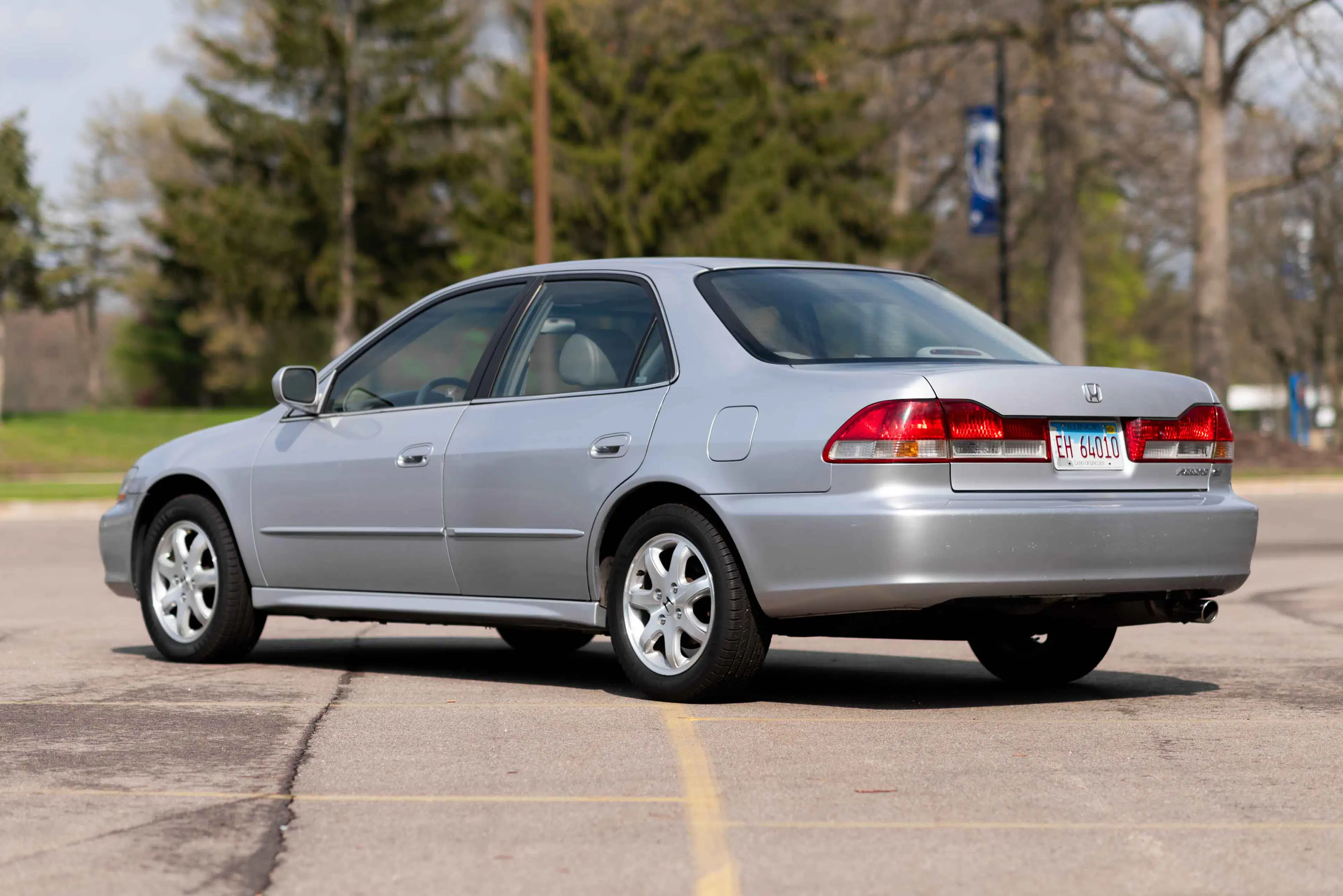 Gallery photo 6