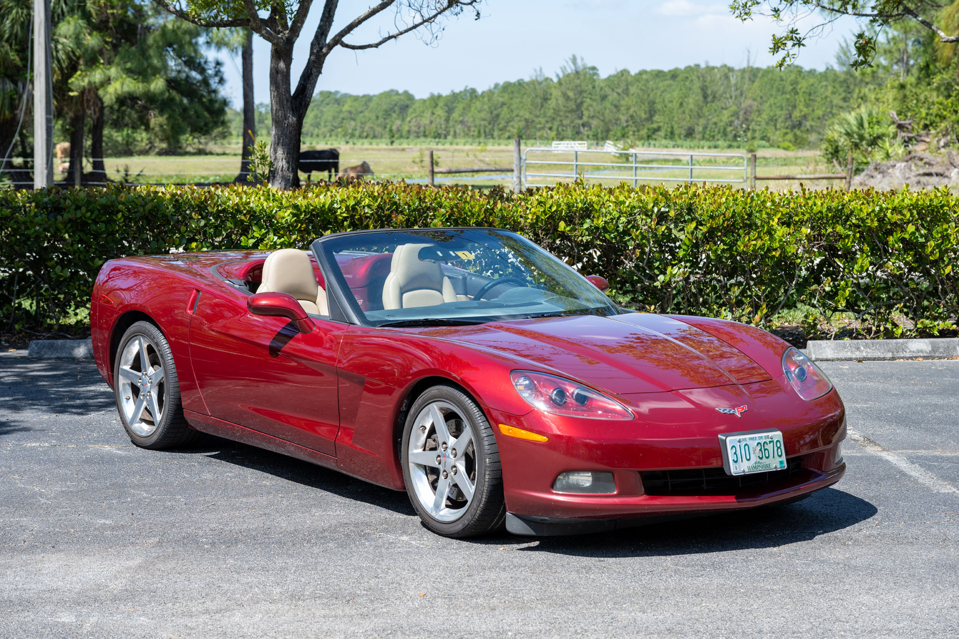 2005 Chevrolet Corvette Convertible