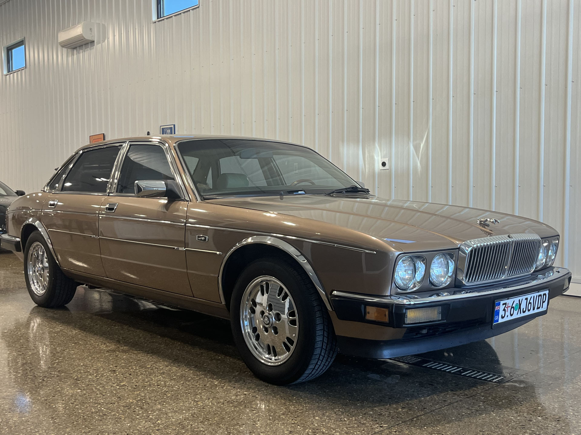 DS-1600TG TGロックショアシューズ ローカット TGスパイク