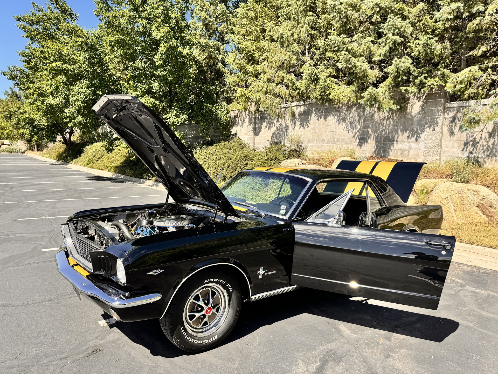 1966 Ford Mustang | Classic Auto Mall
