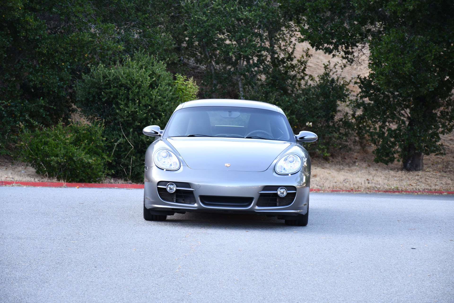 Gallery photo 3