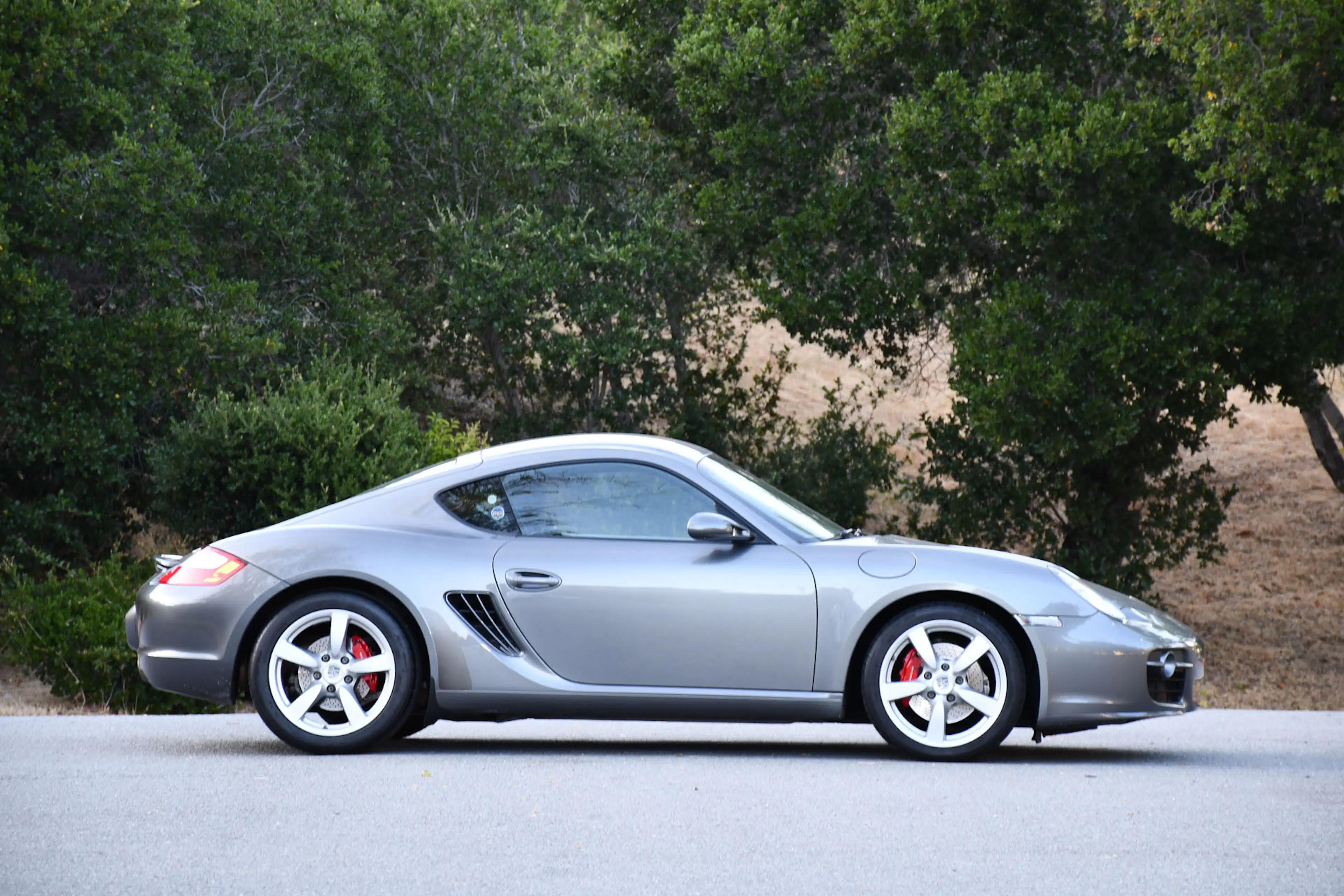 Gallery photo 4
