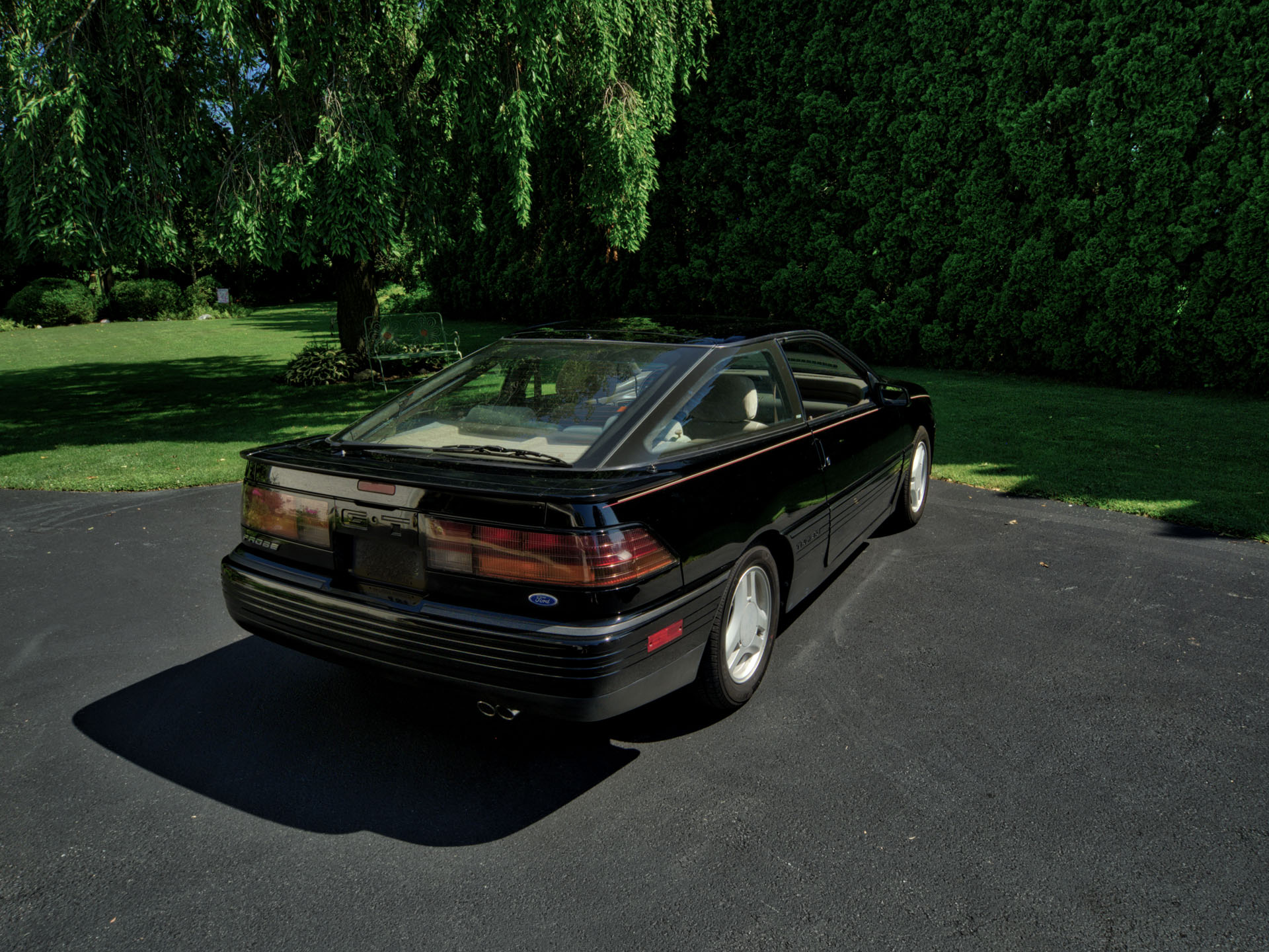 Gallery photo 6
