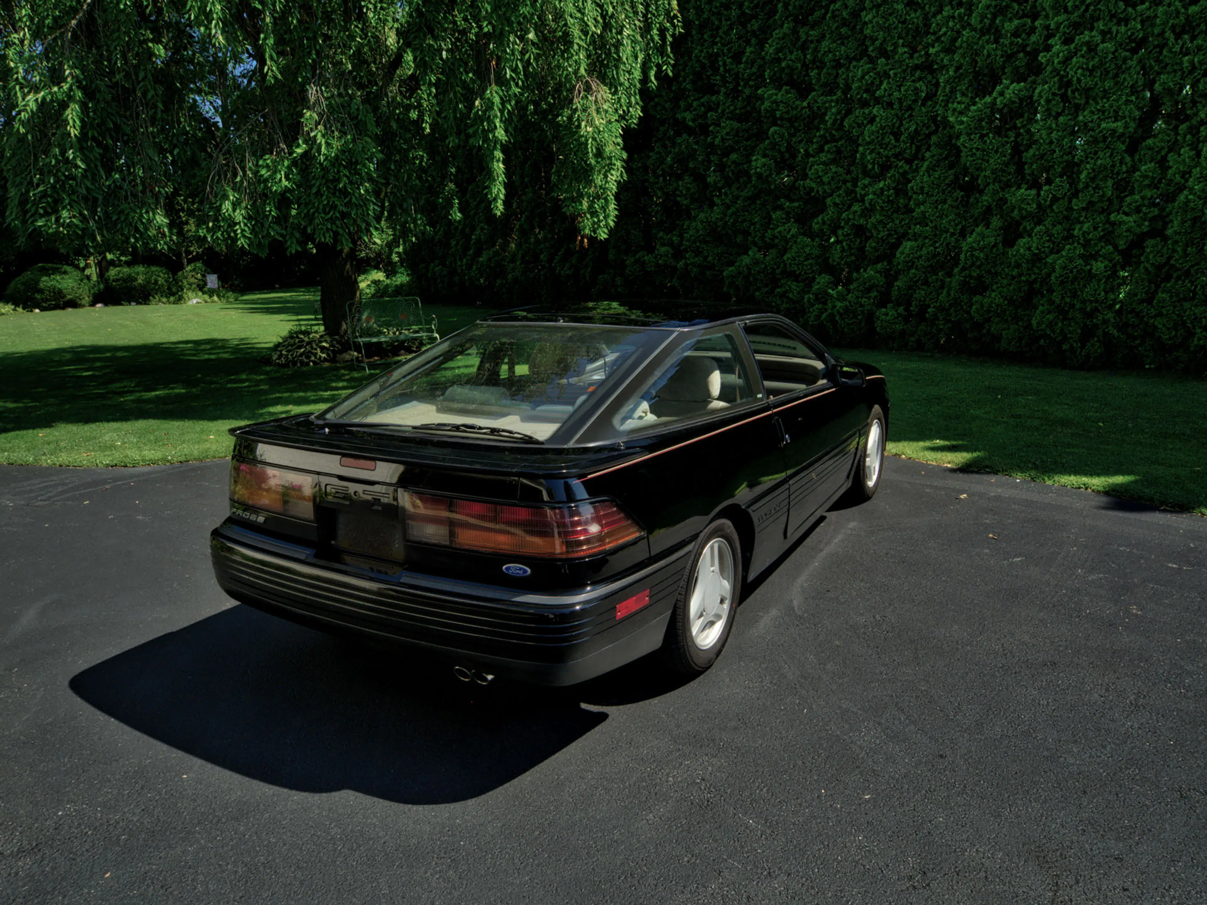 Gallery photo 6