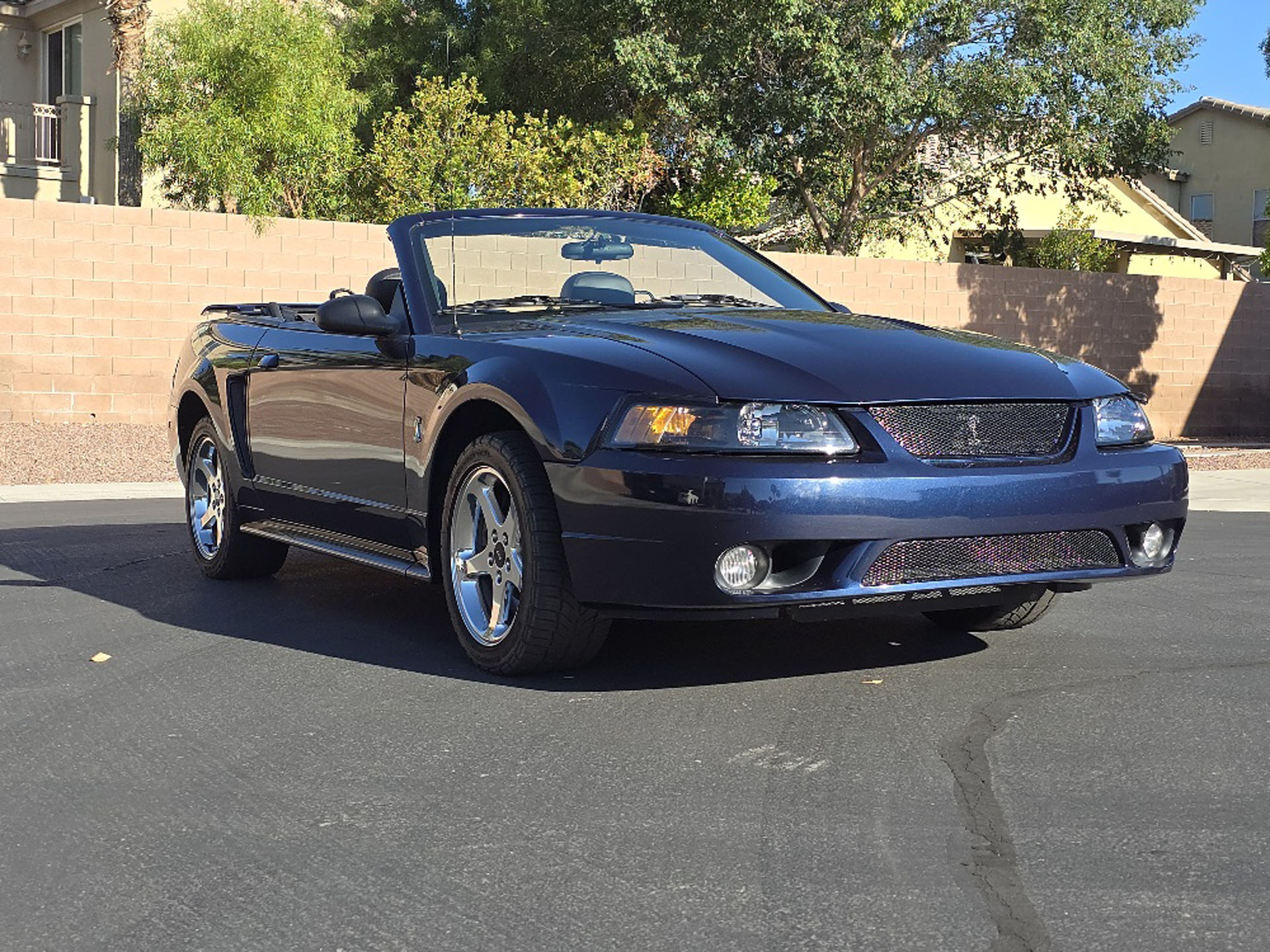 One-Owner 2001 Ford SVT Mustang Cobra Convertible