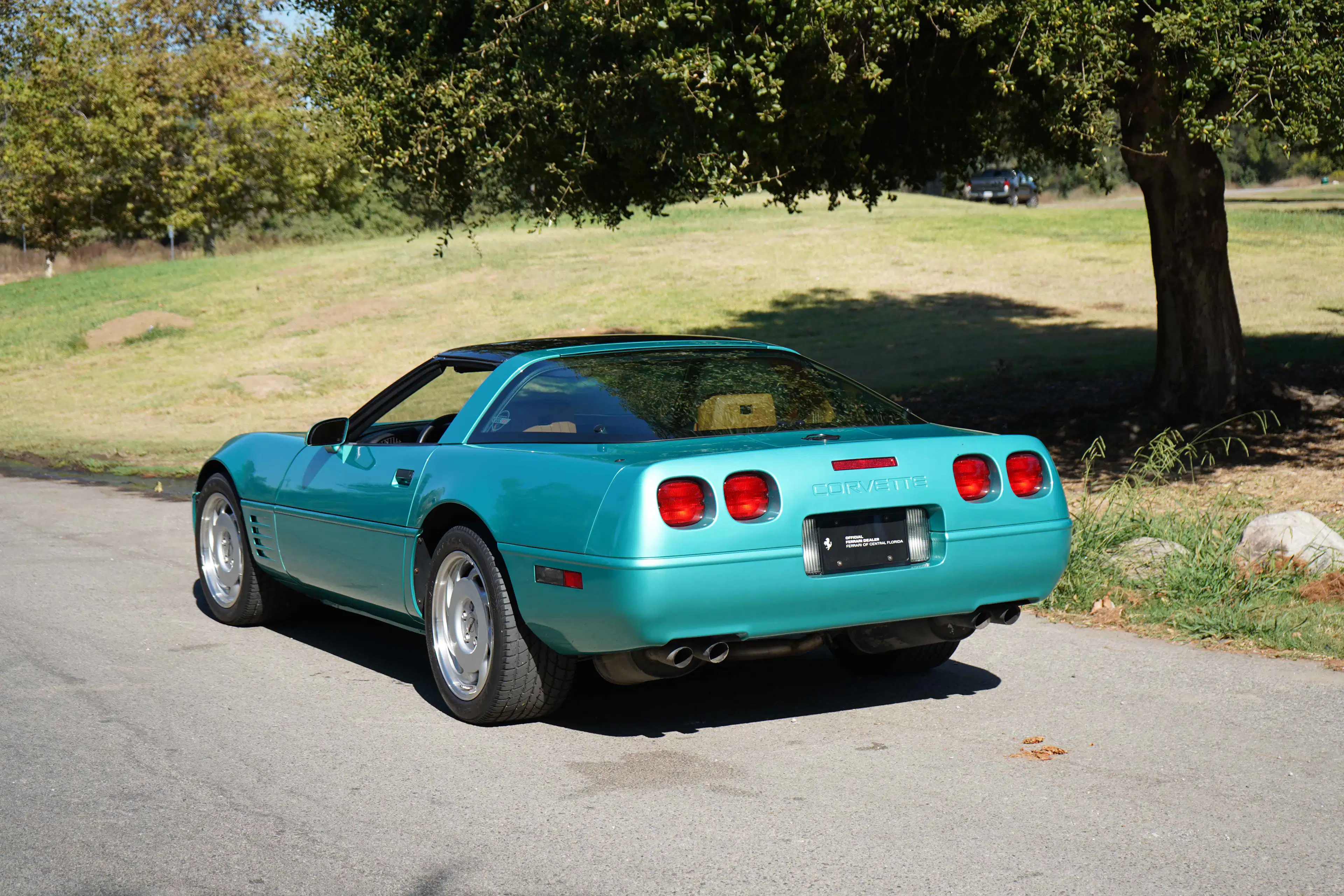 Gallery photo 3