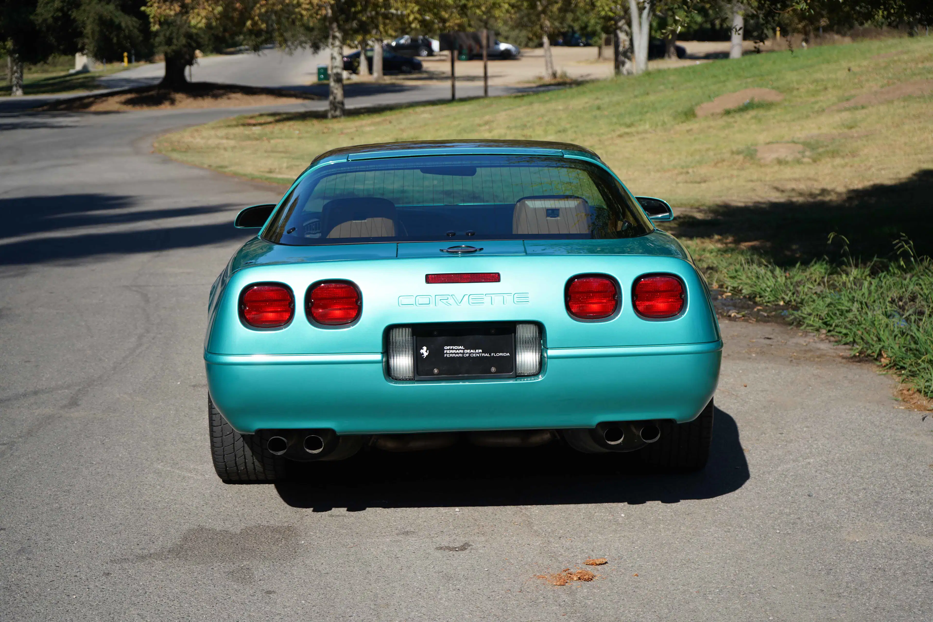 Gallery photo 4