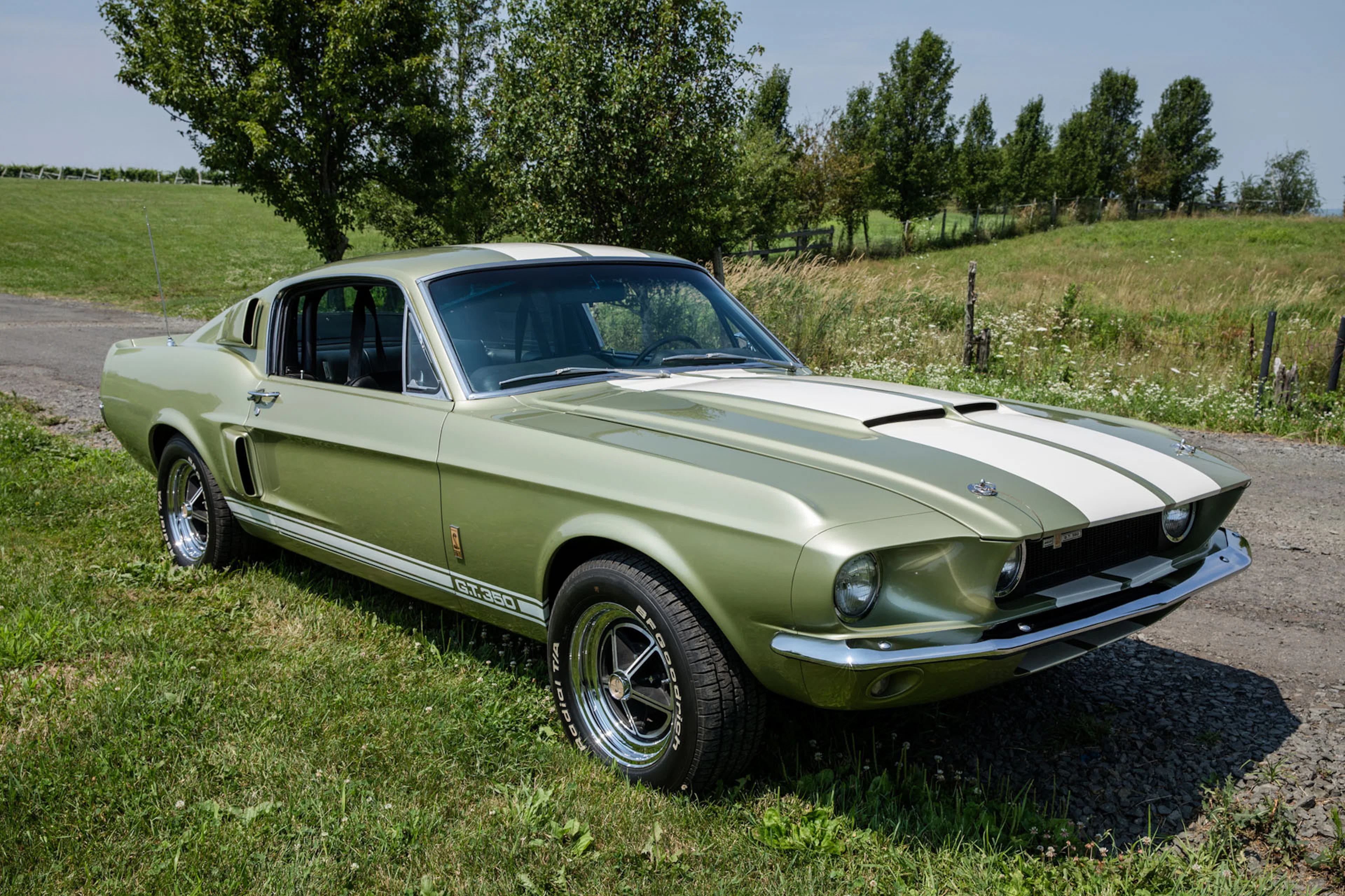 1967 Shelby GT350