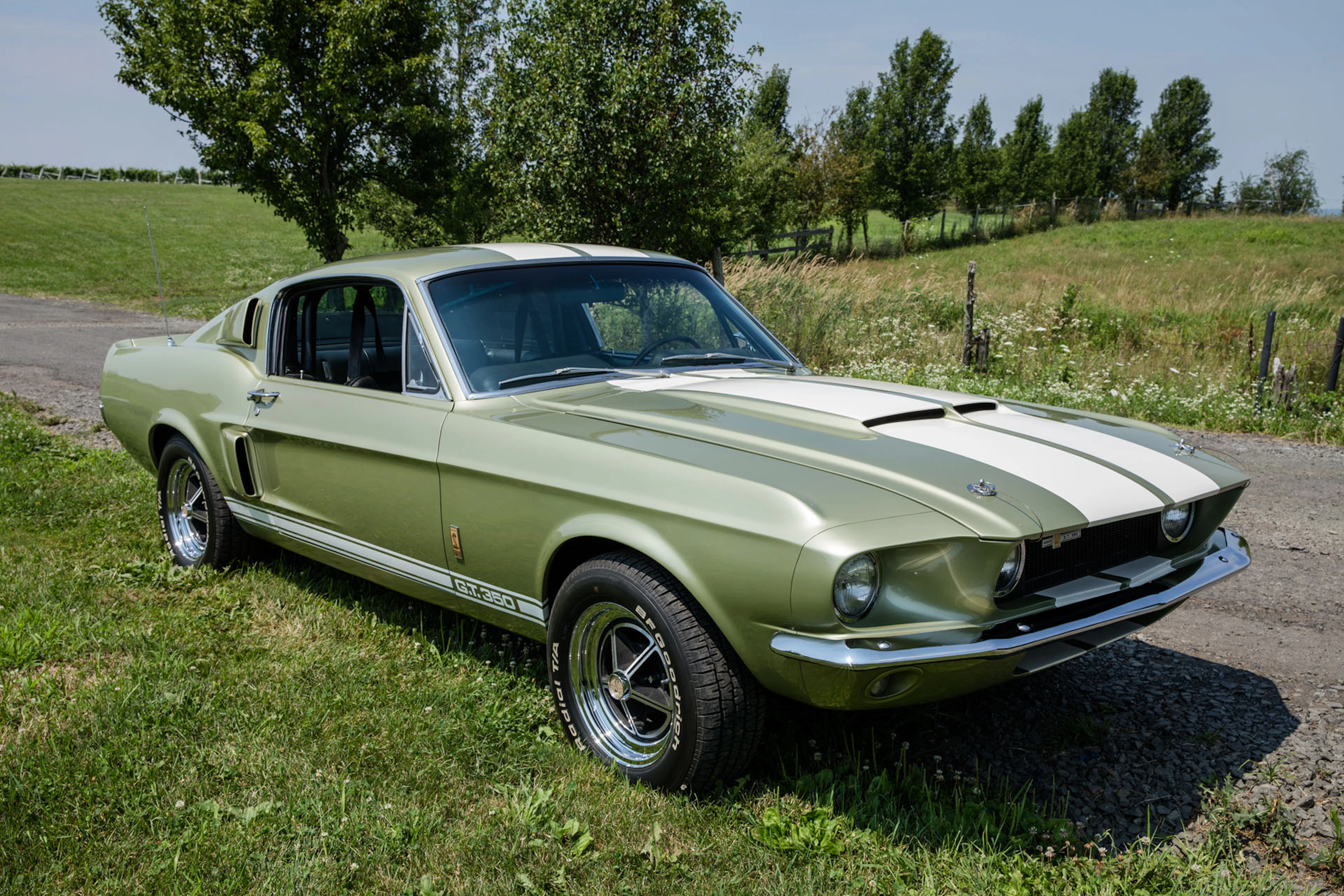 1967 Shelby GT350