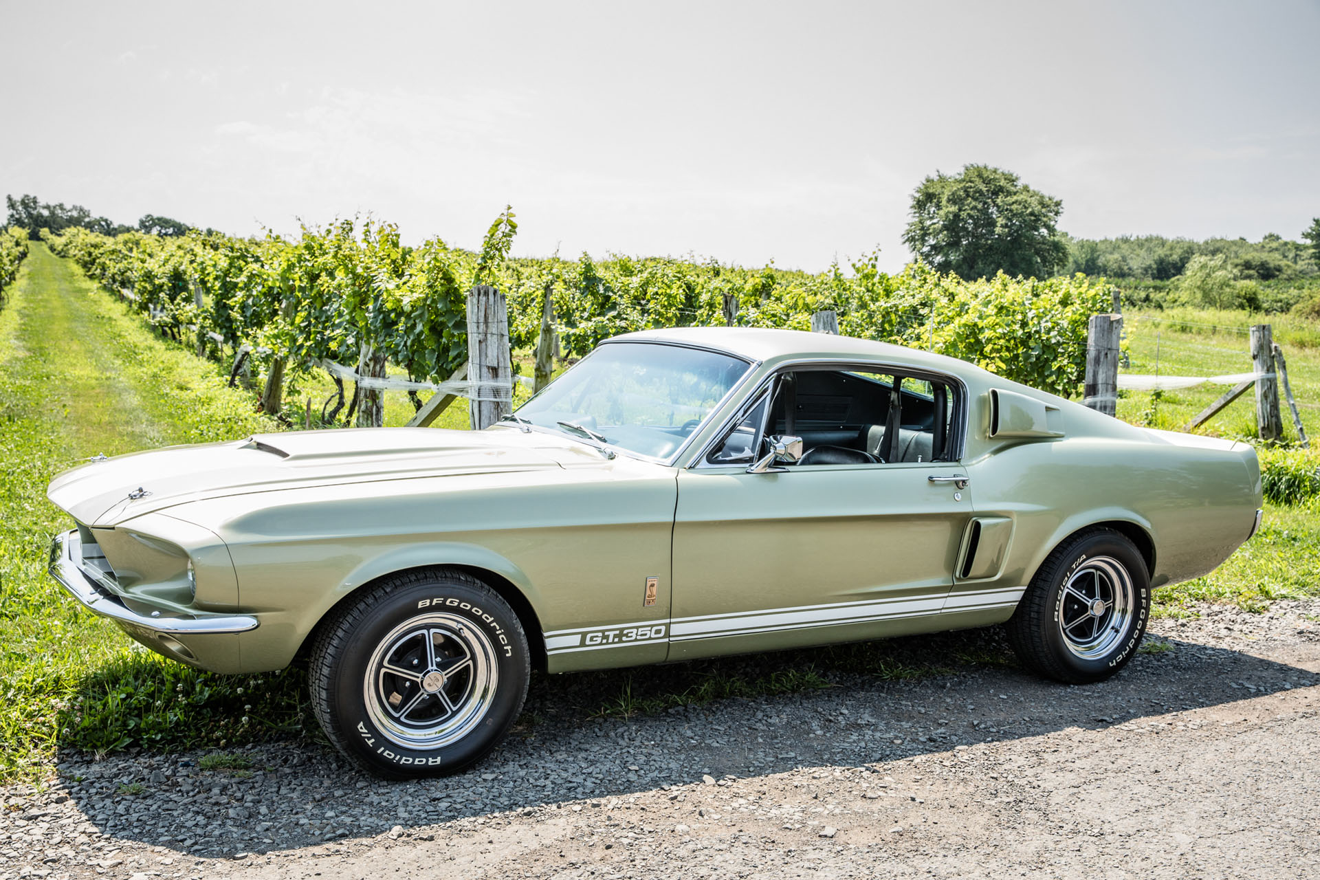 1967 Shelby GT350 for sale | Hagerty Marketplace