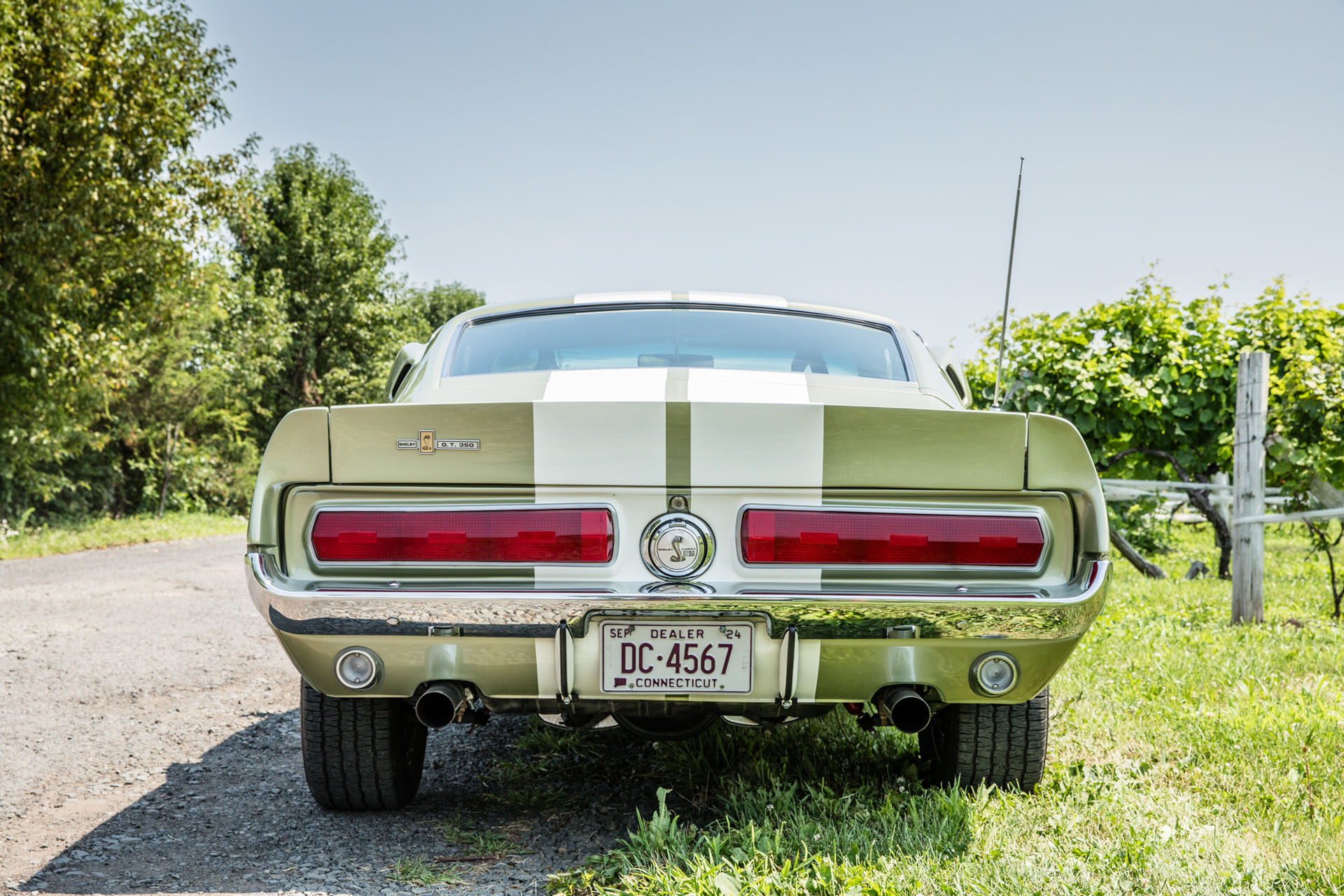1967 Shelby GT350 for sale | Hagerty Marketplace