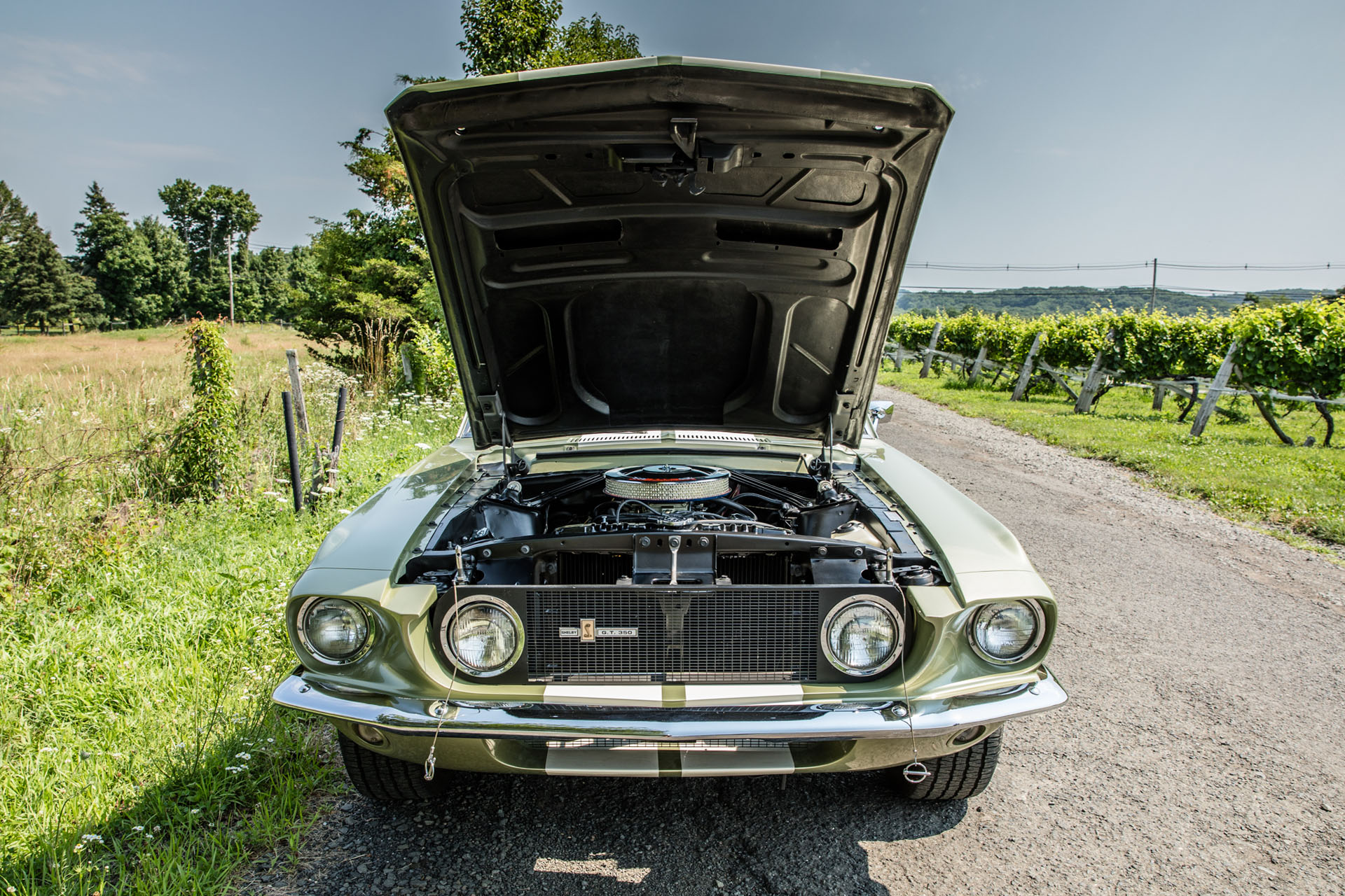 1967 Shelby GT350 for sale | Hagerty Marketplace
