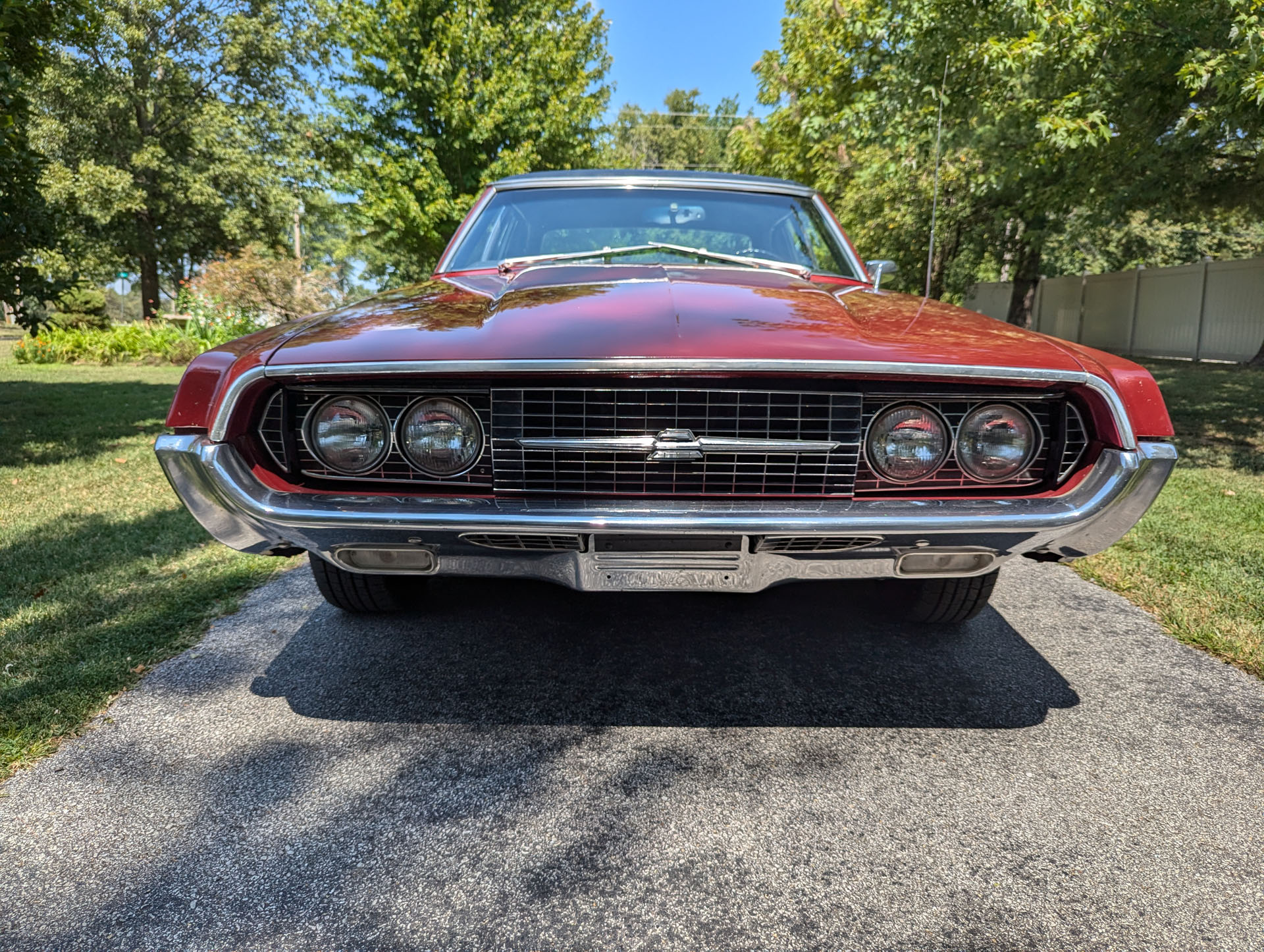 【ag】DaliaSolido NO31 FORD THUNDERBIRD Used 1967 Ford Thunderbird For Sale (Sold) | Diamond