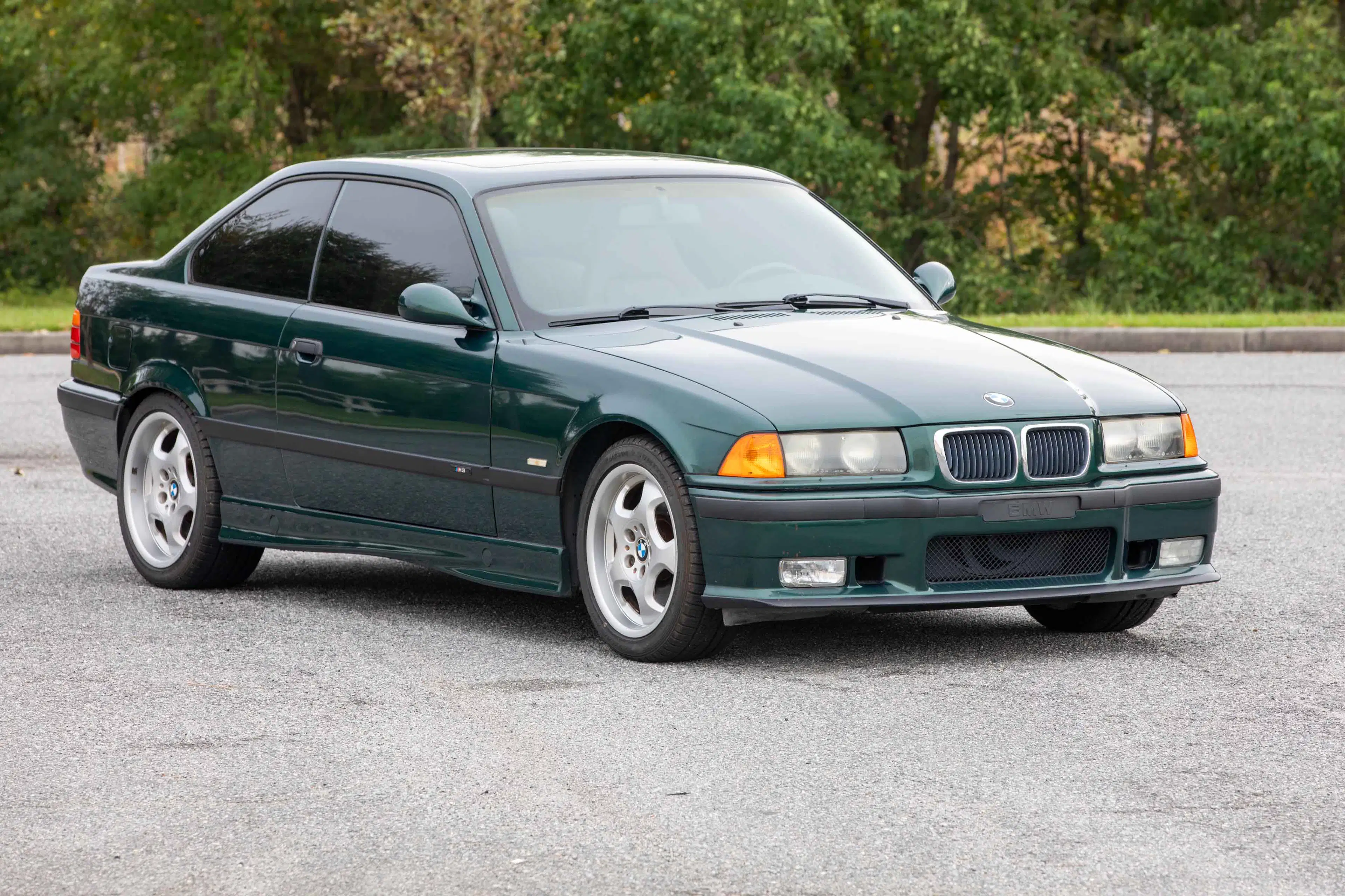Gallery photo 6